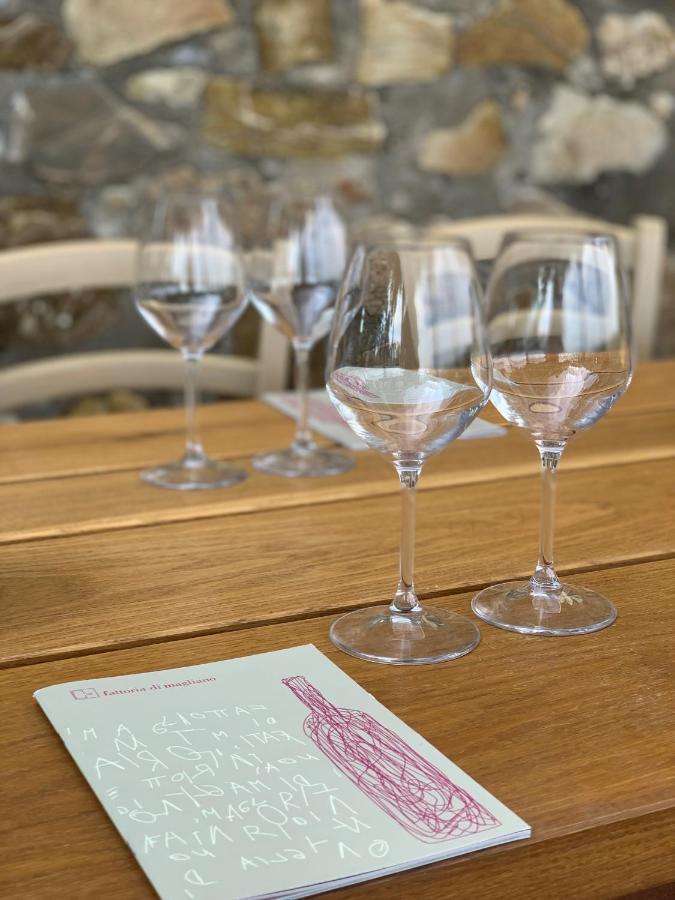 فيلا Fattoria Di Magliano Winery ماليانو إن توسكانا المظهر الخارجي الصورة