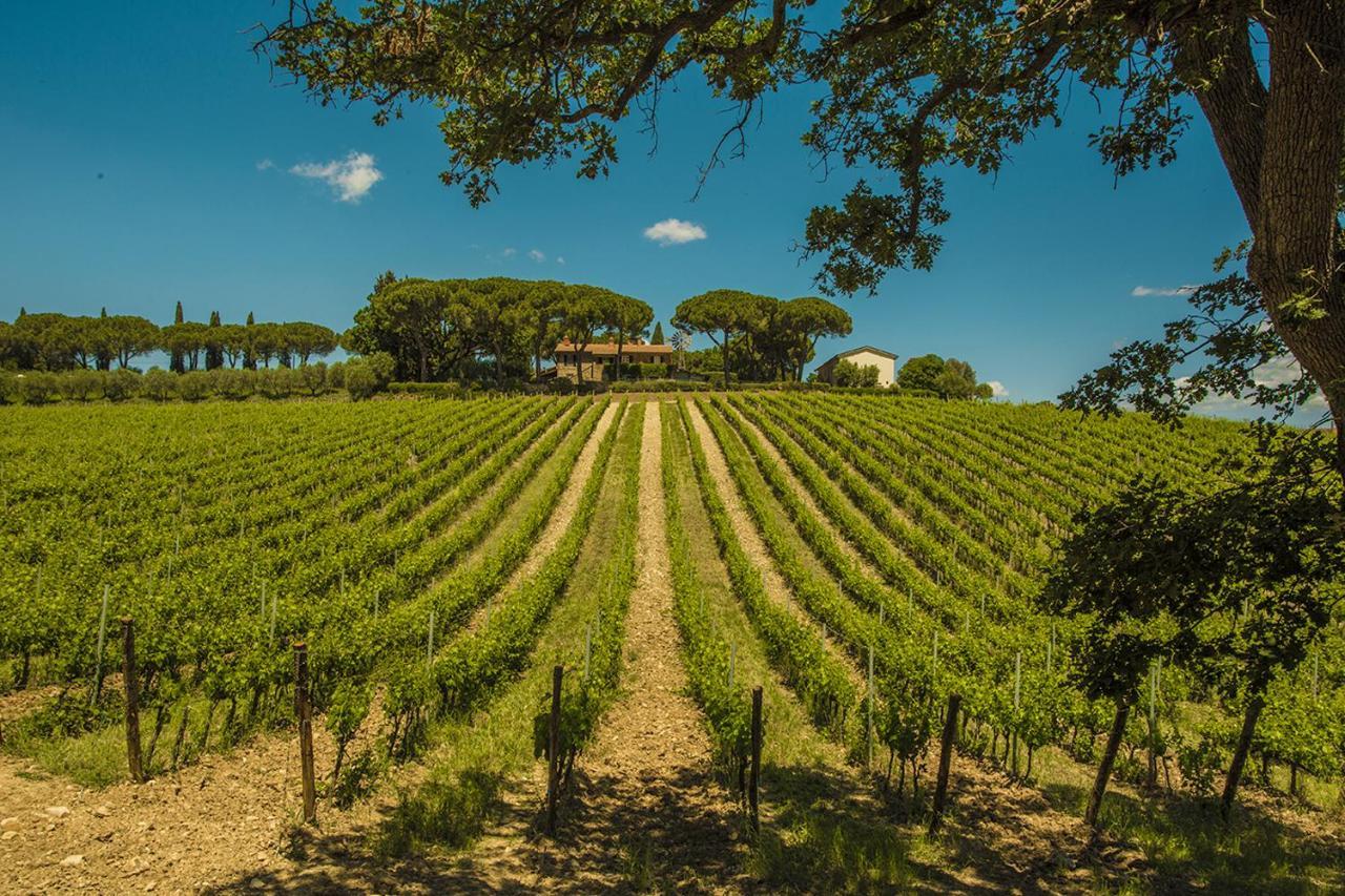 فيلا Fattoria Di Magliano Winery ماليانو إن توسكانا المظهر الخارجي الصورة