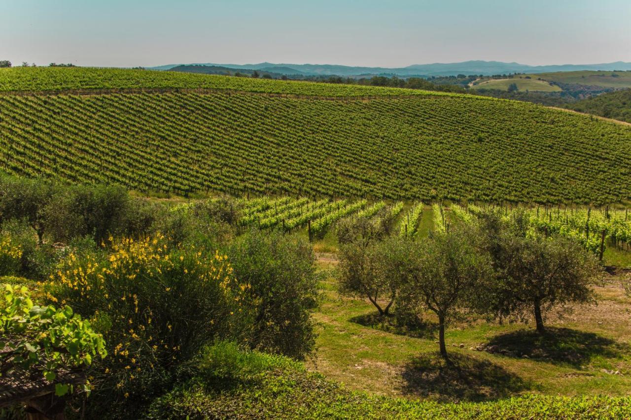 فيلا Fattoria Di Magliano Winery ماليانو إن توسكانا المظهر الخارجي الصورة