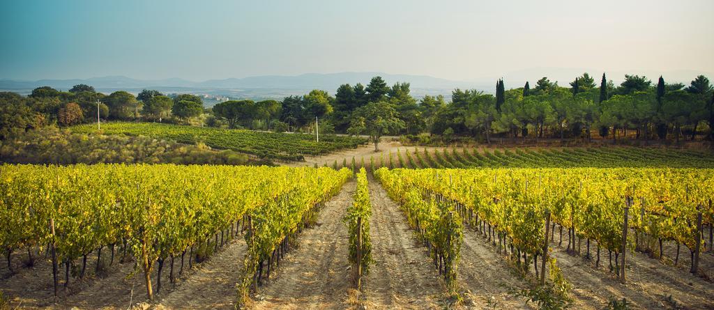 فيلا Fattoria Di Magliano Winery ماليانو إن توسكانا المظهر الخارجي الصورة